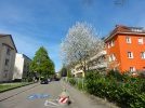 Frühling in der Langemarckstraße (2015)