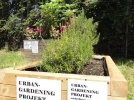 Urban-Gardening-Projekt